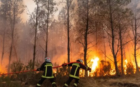 Massive French Wildfire Sparks Lightning Storm, Threatens Areas Near Bordeaux