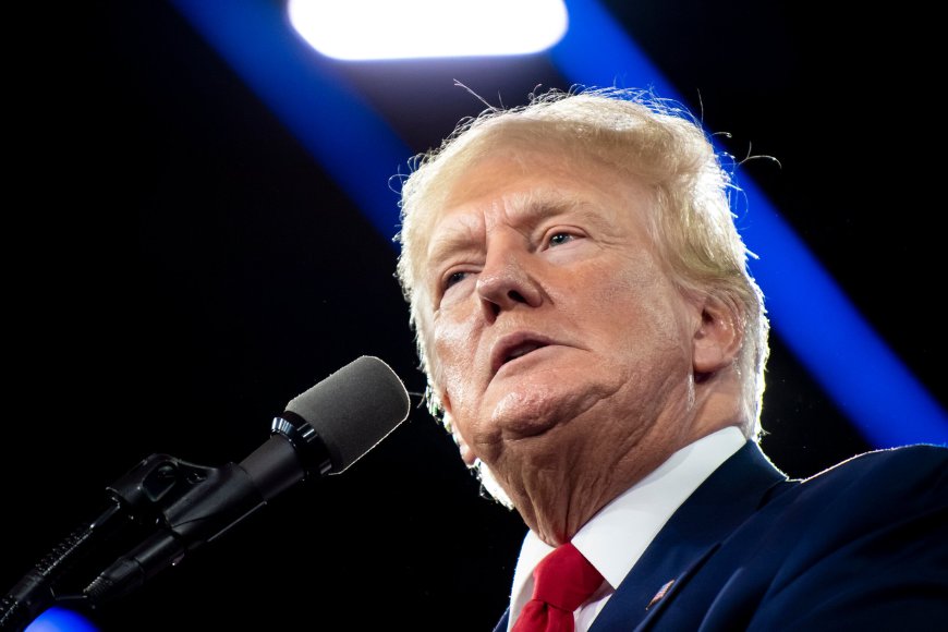 US Judge Voids Donald Trump's $1.8 Billion IRS Settlement That Proposed Tax Audit Immunity