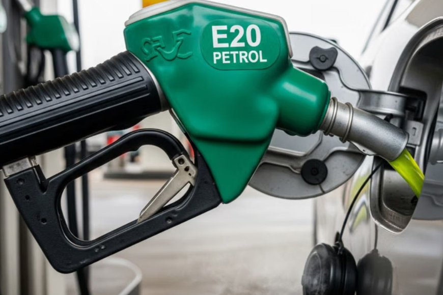 What Is the E20 Janata Party? Why Is Social Media Buzzing Over the Demand for 100% Petrol? Explained