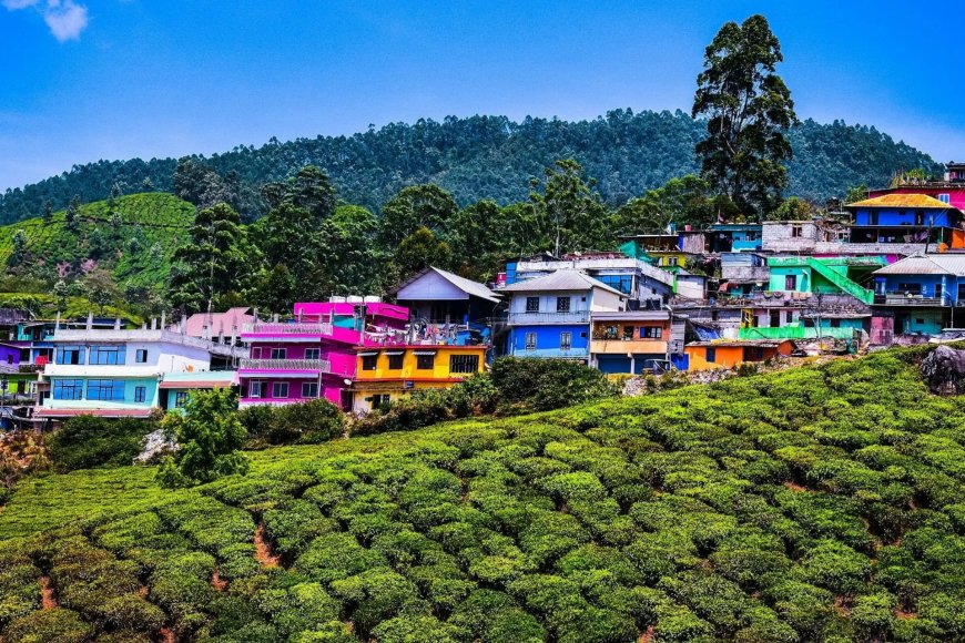 Munnar, Kerala