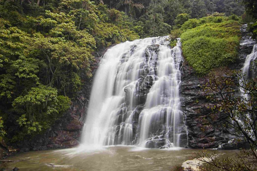 . Coorg, Karnataka