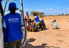 Djibouti-Yemen Migrant Boat Tragedy: 139 Dead, Including 15 Children, 84 Still Missing