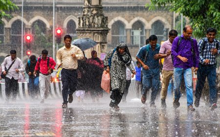 Delhi-NCR Weather Changes: IMD Issues Rain Alert for UP, Rajasthan, Kerala and Other States