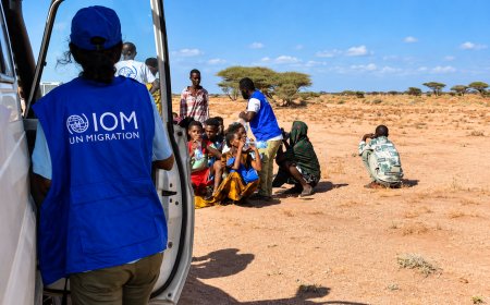 Djibouti-Yemen Migrant Boat Tragedy: 139 Dead, Including 15 Children, 84 Still Missing