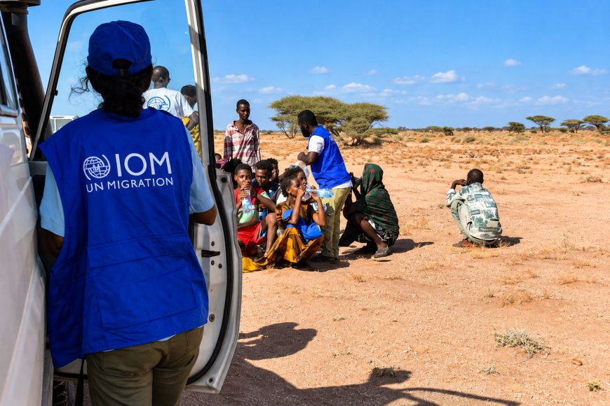 Djibouti-Yemen Migrant Boat Tragedy: 139 Dead, Including 15 Children, 84 Still Missing